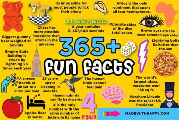 5 Amazing Facts About Teddiiddall You Should Know