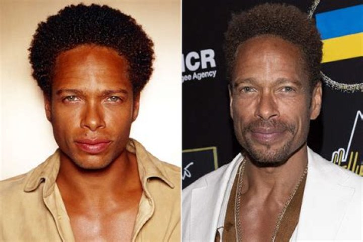 A Detailed Look at Warrick Brown's Journey on "CSI: Now"