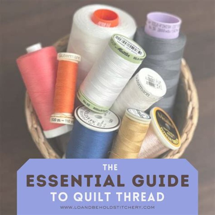 About Matthewettle: Your Essential Guide