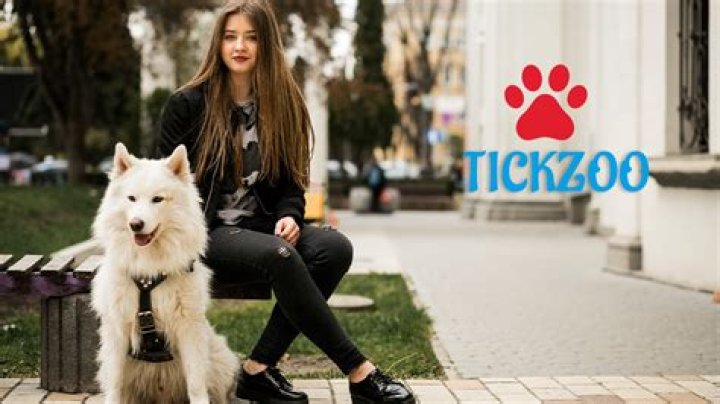 Discover the Comprehensive TickZoo: Your Essential Guide to Ticks