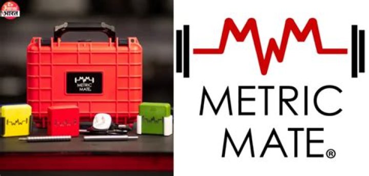 Exploring Metric Mate Net Worth: Insights and Financial Journey