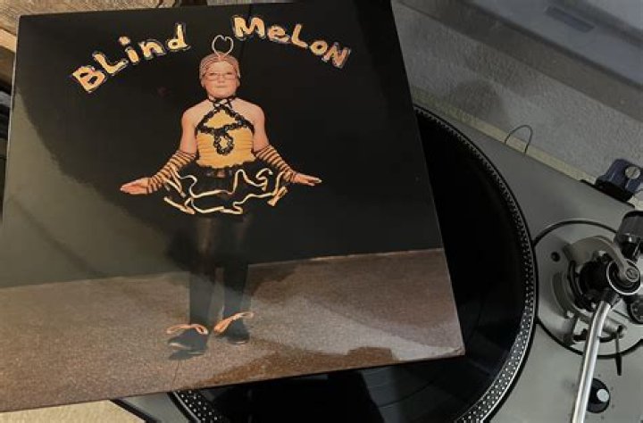 Memorable Power Ballad: The Blind Melon Hit "No Rain" Unlocks Emotions