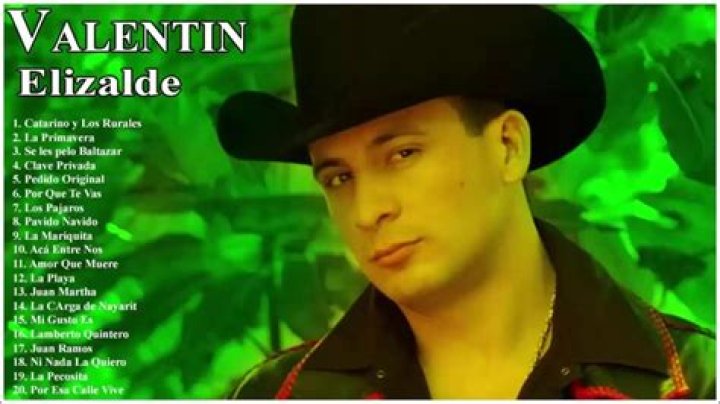 The Life and Legacy of Valentin Elizalde: A Mexican Music Icon