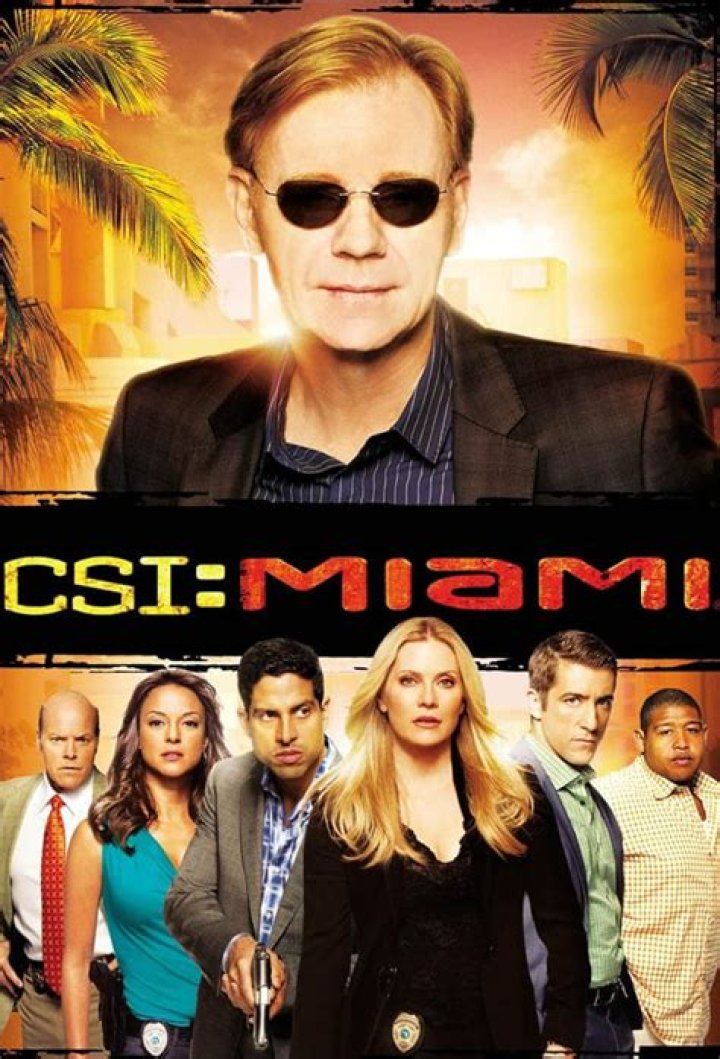 The Ultimate Guide to Horatio Caine: CSI Miami